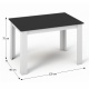 Jedálenský stôl, biela / čierna, 120x80, KRAZ
