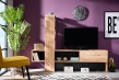 Moderný televízny stolík Timothea - dub artisan/čierna