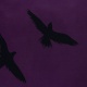 Detské obliečky Wednesday RavenDetské obliečky Wednesday Raven
