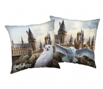 Dekoratívny vankúšik Harry Potter