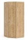 Jednodverová rohová šatníková skriňa Cody - dub