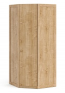 Jednodverová rohová šatníková skriňa Cody - dub