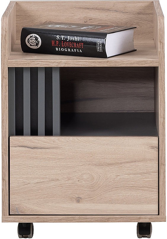 Kancelársky kontajner na kolieskach eliot - dub estana/šedá.

 

Kancelársky kontajner na otočných kolieskach je správnou voľbou do každej pracovne či kancelárie.

 

Kancelársky kontajner na kolieskach Eliot bol vyrobený z vysoko kvalitného lamina s hrúbkou 16mm.

 

Rozmery kancelárskeho kontajnera na kolieskach Eliot sú 40x53x40cm (š, v, h).

 

Všetky produkty z kolekcie Eliot nájdete nižšie v súvisiacich produktoch.