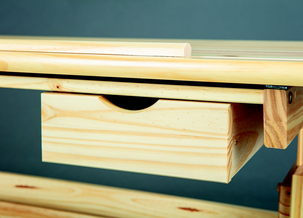 Detský funkčný stôl z masívu so zásuvkou kelly - borovica.

 

Rozmery detského funkčného stola so zásuvkou Kelly sú 109x63-96x55cm (š, v, h).

 

Ďalšie písacie stoly od rovnakého výrobcu nájdete nižšie v súvisiacich produktoch.