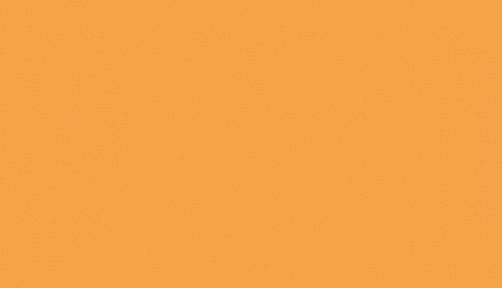 147 101 - orange